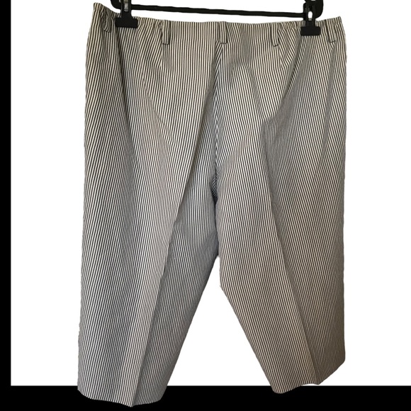 Talbots fully lined navy/eggshell striped cropped pants. Sz 22W PETITE - Picture 2 of 7